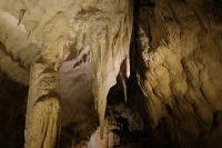 Glühwürmchen & Rugby