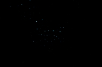 Glühwürmchen & Rugby