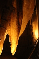 Glühwürmchen & Rugby