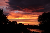 Glühwürmchen & Rugby