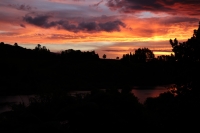 Glühwürmchen & Rugby