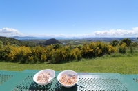 Über die heißen Quellen nach Wellington