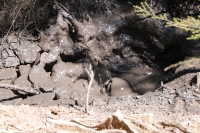 Über die heißen Quellen nach Wellington