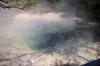 Über die heißen Quellen nach Wellington