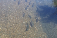 Über die heißen Quellen nach Wellington