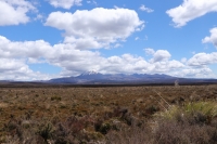 Über die heißen Quellen nach Wellington