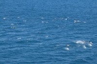 Bye bye North Island, hello South Island :-)