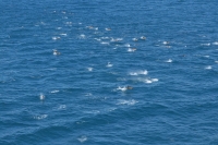 Bye bye North Island, hello South Island :-)