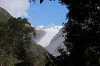 Franz Josef Glacier