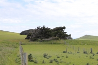 Moeraki Boulders
