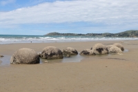 Moeraki Boulders
