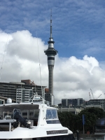 Ankunft Auckland