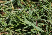 Auf dem Weg zu unserem letzten Ziel