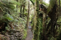 Erste Nacht im Camper & Northland