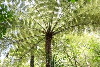 Erste Nacht im Camper & Northland