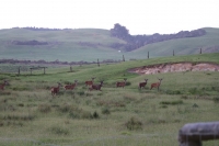 Erste Nacht im Camper & Northland