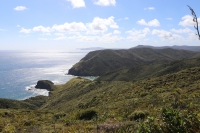Cape Reinga