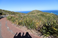Cape Reinga