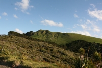 Cape Reinga